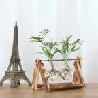 Cavira high borosilicate glass ball vase with retro wooden rack, used as a decorative planter or propagation station on a desktop.