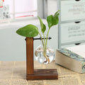 Transparent glass vase with wooden frame by Cavira, minimalist desktop flower vase for home decor and shelf styling.