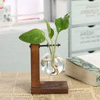 Transparent glass vase with wooden frame by Cavira, minimalist desktop flower vase for home decor and shelf styling.