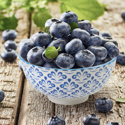 Versatile 8 Pack Small Ceramic Bowls - Perfect for Soup, Salad, Pasta, Desserts & More! 4.75 Inch Diameter, 10 oz Capacity