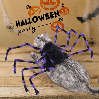 Halloween pet clothes spider transforms into dog clothes