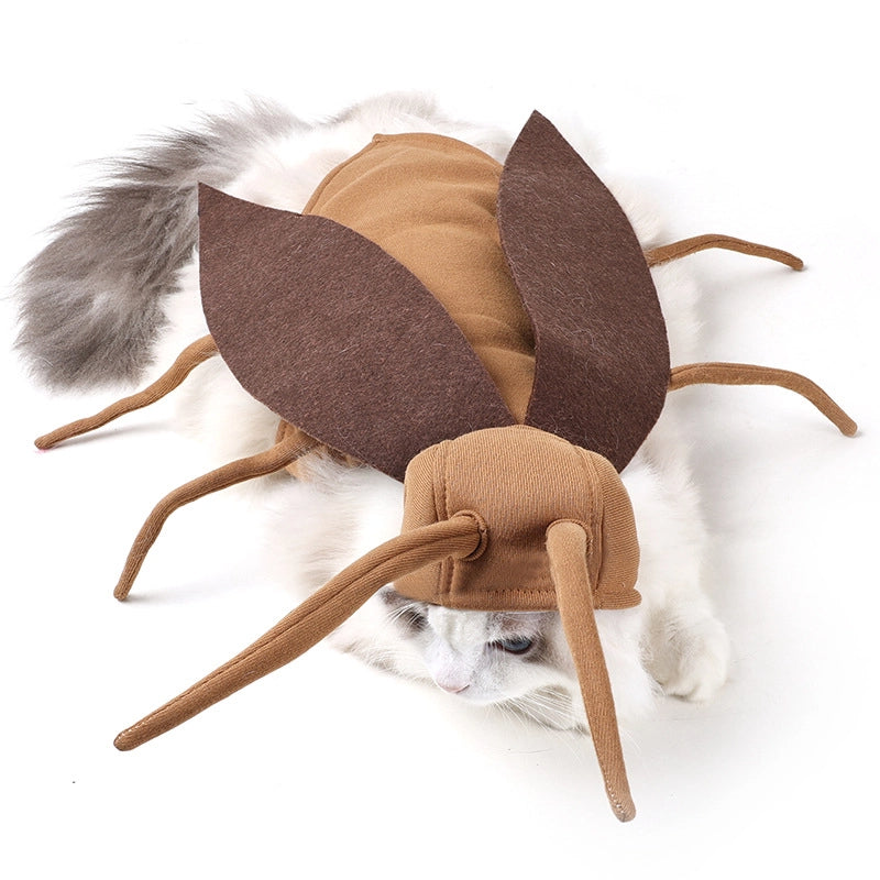 Pet transformation costume Halloween funny dog cockroach