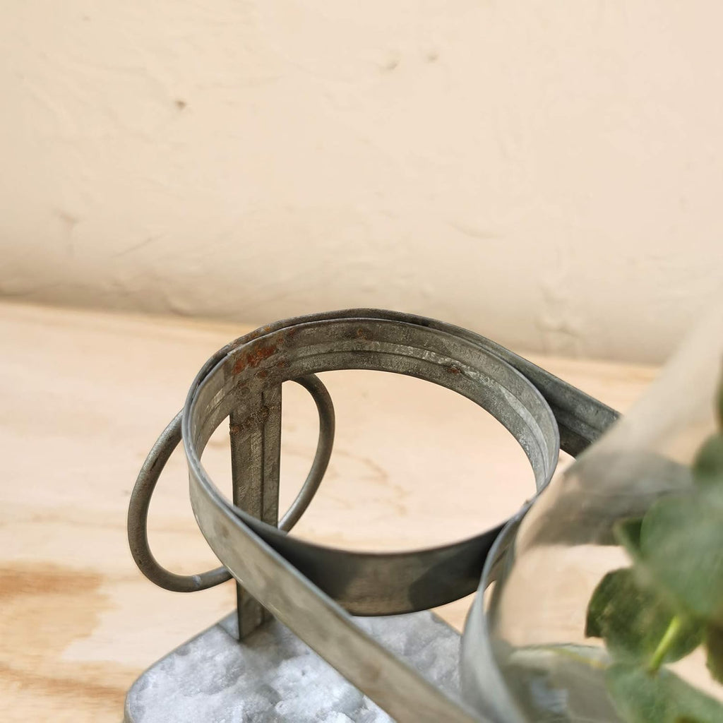 Rustic Glass Bud Vase Set – Farmhouse Wedding & Hydroponic Plant Display Vases (Set of 5)