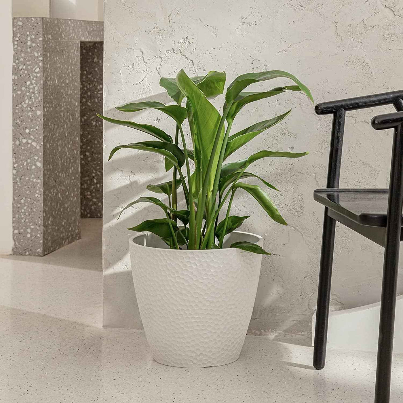 Outdoor Indoor Tree Planters,14 Inch Large Planter Flower Pots,Modern Decorative White Planter Pot for House Plants,Honeycomb - GG store