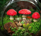 Set of glow-in-the-dark resin mushroom garden ornaments by Cavira, whimsical fairy garden and outdoor patio décor accents.