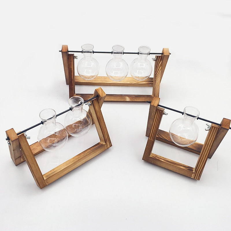 Cavira glass terrarium tabletop vase with wooden frame, perfect for hydroponic plants, bonsai, or floral displays in home decor.