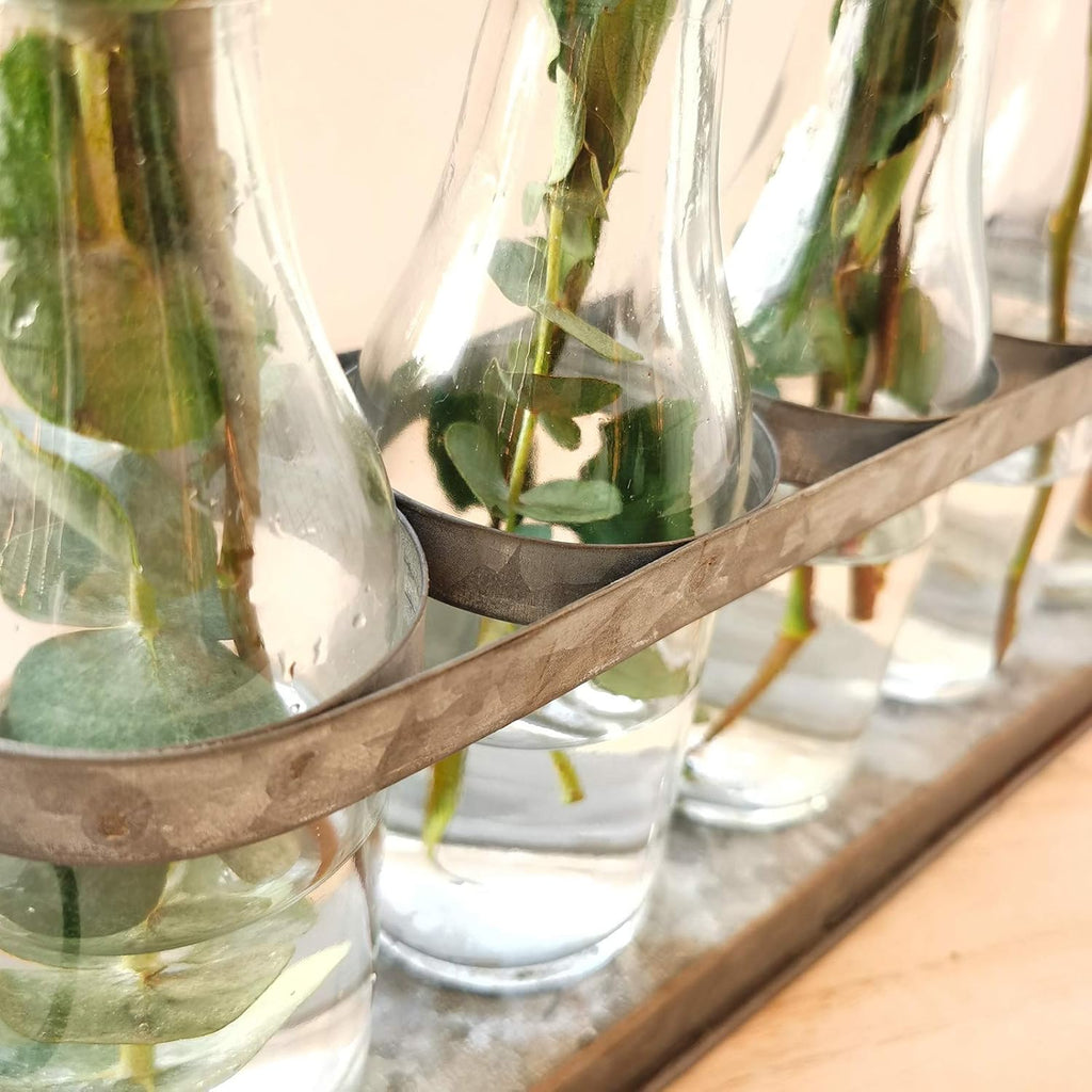 Rustic Glass Bud Vase Set – Farmhouse Wedding & Hydroponic Plant Display Vases (Set of 5)