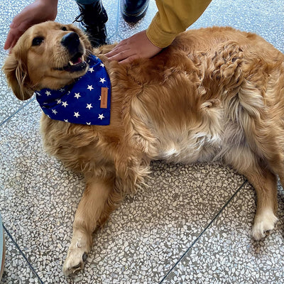 Festive 4th of July Reversible Dog Bandanas - 2 Pack of Patriotic American Flag Scarves for Small & Medium Dogs, Durable & Stylish!
