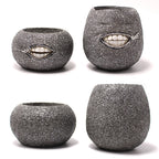 Set of two Cavira succulent-shaped resin planters with cactus and fleshy plant designs, ideal for indoor tabletop or desk decor.