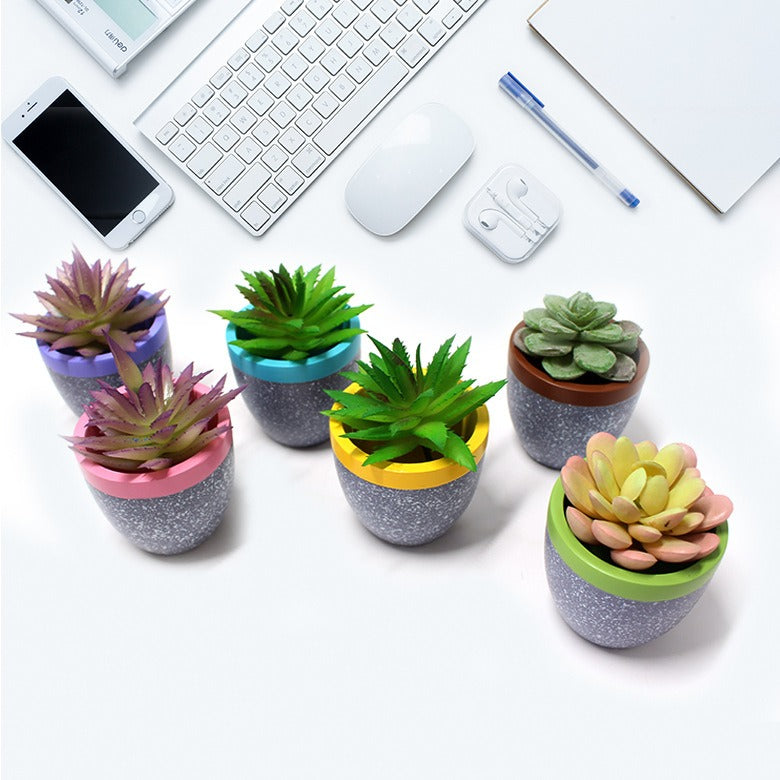 Set of six minimalist square resin succulent pots by Cavira, small geometric plant containers for cacti, succulents, and desktop plants.