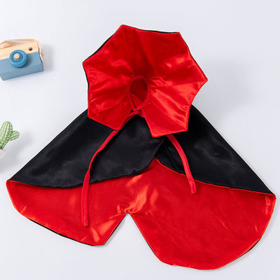 Transform your pet dog into a pet dog Halloween clothes