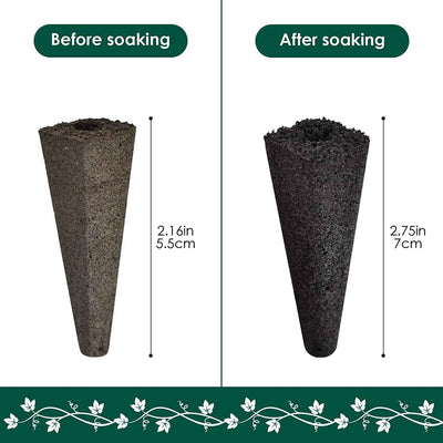 Grow Sponges 50-Pack for Aerogarden, Replacement Root Growth Sponges Seed Pods, Seedling Starter Refill Sponges Kit for Hydroponic Indoor Garden System - GG store