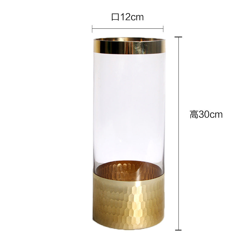 Modern Cavira transparent glass vase with minimalist design, ideal for hydroponic flowers in living rooms, dining areas, or bedrooms.