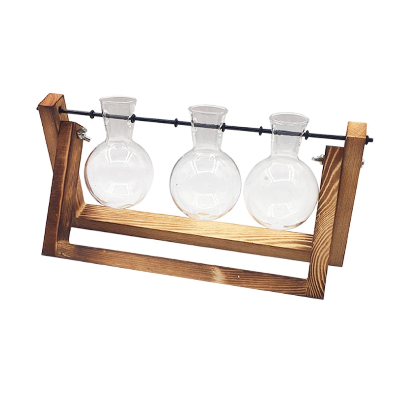 Cavira glass terrarium tabletop vase with wooden frame for hydroponic plants, bonsai, and home decor display