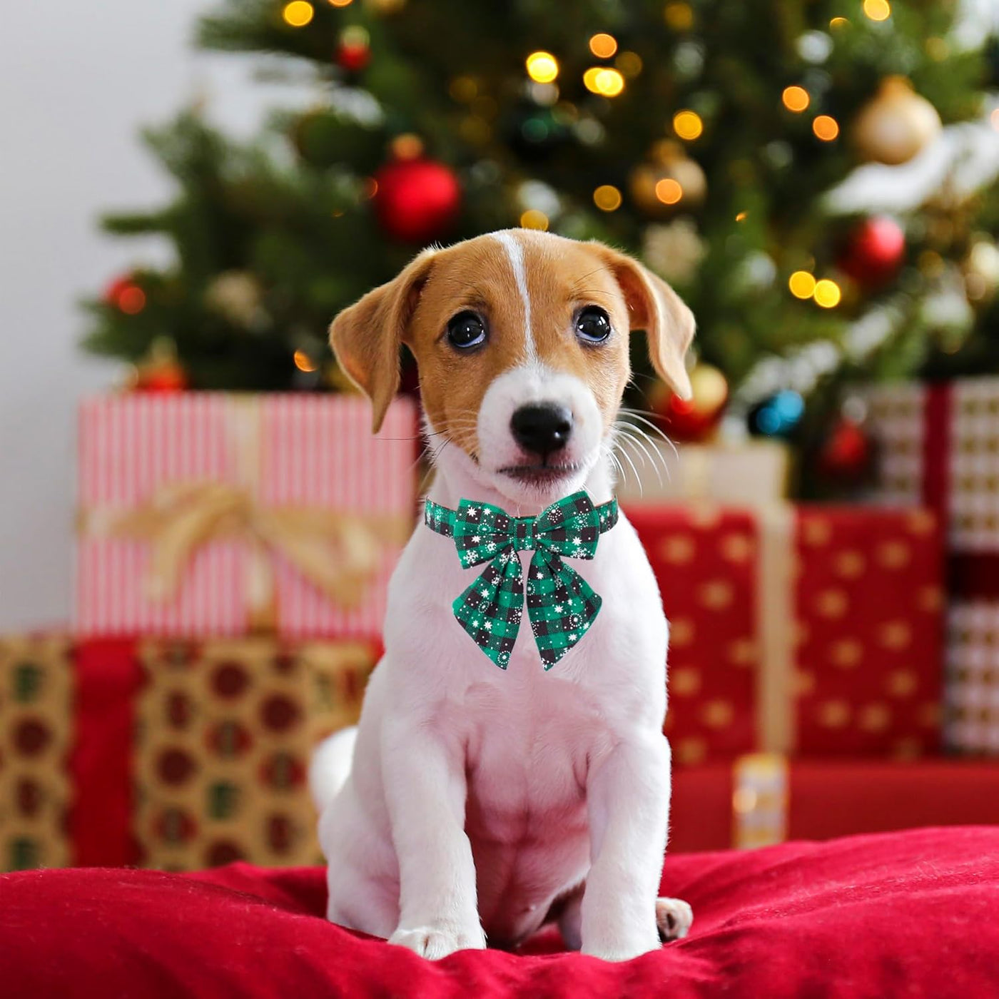 Festive 2-Pack Christmas Dog Collars with Removable Bow Ties - Classic Plaid Red & Green for Small Pets