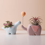 Cute ceramic succulent pot with elephant, dinosaur, and flower designs, ideal for desk, shelf, or balcony décor. Cavira brand.