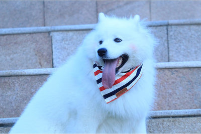 Festive 4th of July Reversible Dog Bandanas - 2 Pack of Patriotic American Flag Scarves for Small & Medium Dogs, Durable & Stylish!