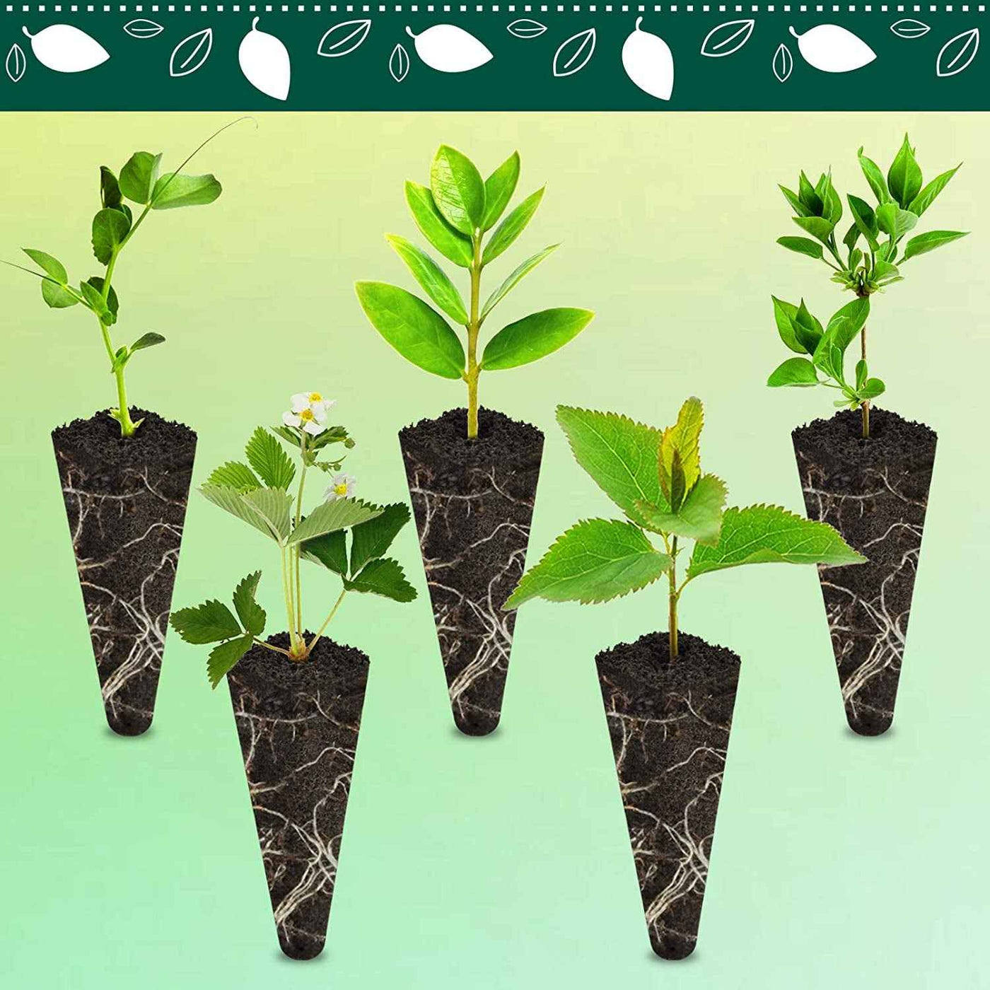 Grow Sponges 50-Pack for Aerogarden, Replacement Root Growth Sponges Seed Pods, Seedling Starter Refill Sponges Kit for Hydroponic Indoor Garden System - GG store