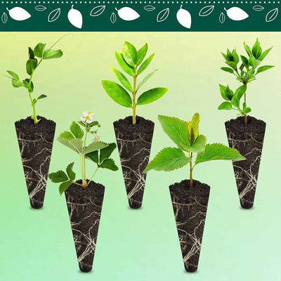 Grow Sponges 50-Pack for Aerogarden, Replacement Root Growth Sponges Seed Pods, Seedling Starter Refill Sponges Kit for Hydroponic Indoor Garden System - GG store