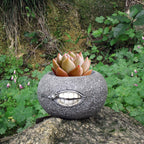 Set of two Cavira succulent-shaped resin planters, cactus and fleshy plant designs for indoor tabletop and desk décor.