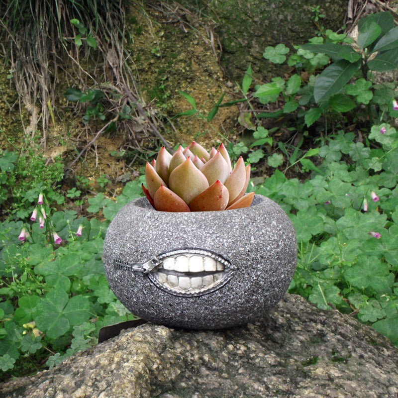 Set of two Cavira succulent-shaped resin planters, cactus and fleshy plant designs for indoor tabletop and desk décor.