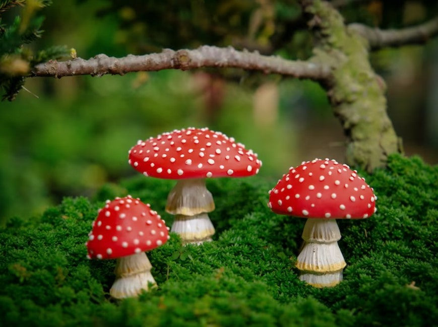 Glow-in-the-dark resin mushroom garden ornaments set by Cavira, whimsical fairy garden and outdoor patio décor accents.
