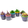 Set of six Cavira minimalist square resin succulent pots with geometric design, ideal for cacti, succulents, and small desktop plants.