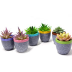 Set of six Cavira minimalist square resin succulent pots with geometric design, ideal for cacti, succulents, and small desktop plants.