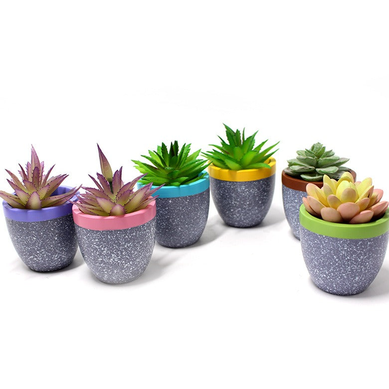Set of six Cavira minimalist square resin succulent pots with geometric design, ideal for cacti, succulents, and small desktop plants.