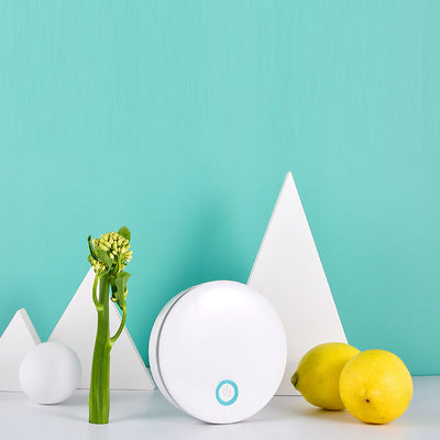 Refrigerator wardrobe shoe cabinet toilet portable pet cat bed powerful ozone disinfection machine - GG store