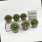 Artificial bonsai desktop plant in a semi-round pulp pot with faux grass and botanical arrangement, ideal for home or office décor.