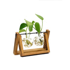 Cavira high borosilicate glass ball vase with retro wooden rack, suitable for hydroponic plants, home décor, and propagation displays