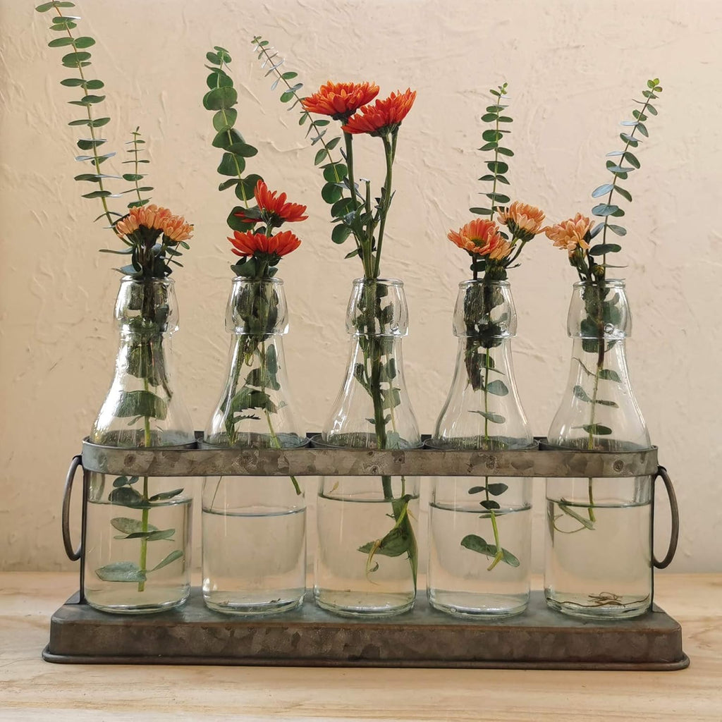 Rustic Glass Bud Vase Set – Farmhouse Wedding & Hydroponic Plant Display Vases (Set of 5)