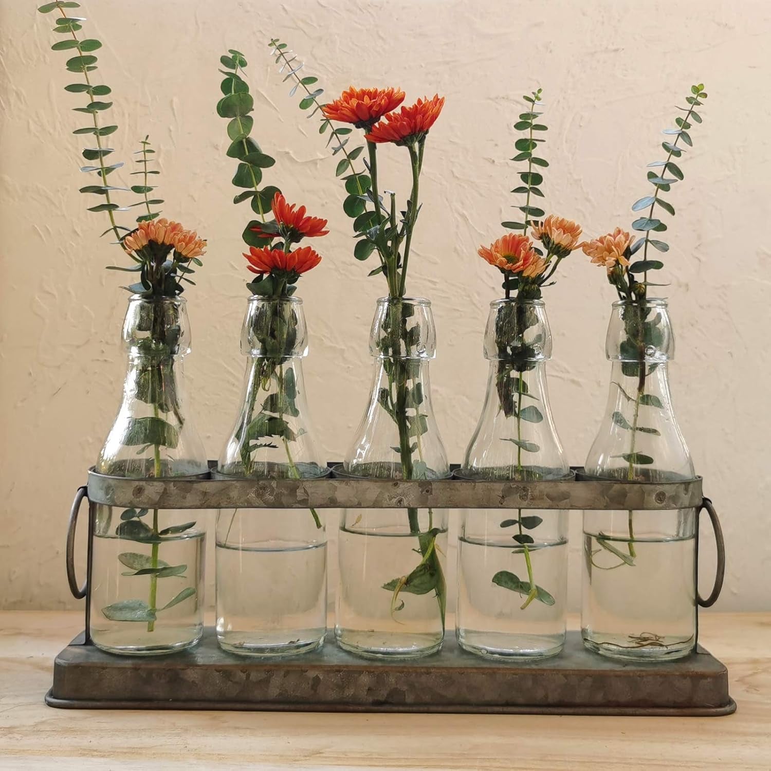Rustic Glass Bud Vase Set – Farmhouse Wedding & Hydroponic Plant Display Vases (Set of 5)