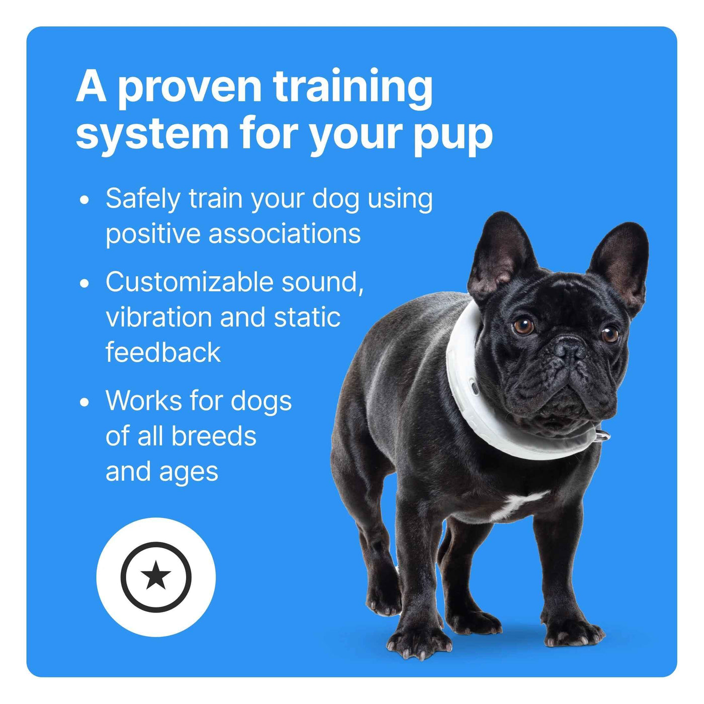 Wireless GPS Dog Fence and Training Collar for Medium to Large Dogs - Sunburst with Real-Time Tracking - GG store