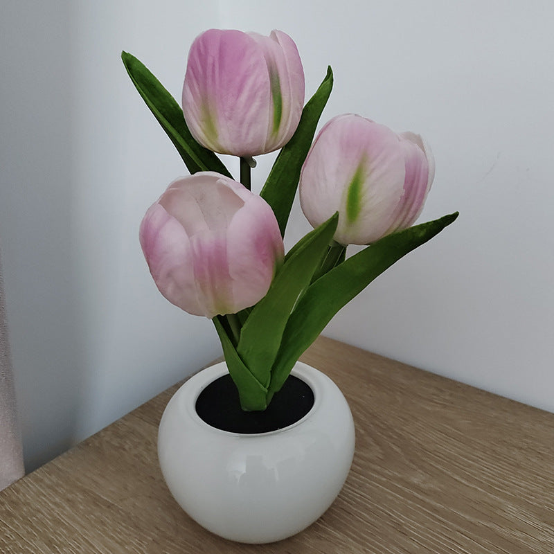 Cavira LED Tulip Ceramic Pot night light with faux tulip flower, 3 light modes, in 5 colors, for bedroom or desk decor.