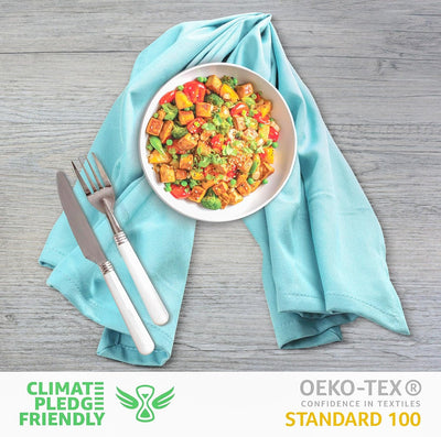 Premium Aqua 100% Cotton Dish Towels - Extra Absorbent Kitchen Cloths (Set of 6, 20x30 Inches) with Convenient Hanging Loop for Multi-Purpose Cleaning