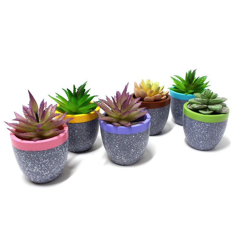 Set of 6 Cavira minimalist square resin succulent pots with geometric design, perfect for cacti, succulents, and desktop plants.