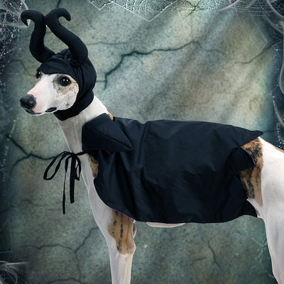 Halloween Dog Cloak with Hat Sleeping Curse