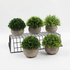 Artificial bonsai desktop plant in a semi-round pulp pot with faux grass and botanical arrangement, ideal for home or office décor.