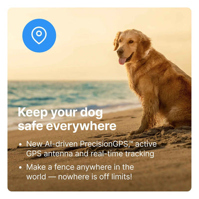 Wireless GPS Dog Fence and Training Collar for Medium to Large Dogs - Sunburst with Real-Time Tracking - GG store