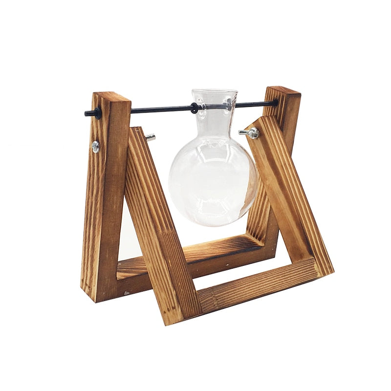 Cavira glass terrarium tabletop vase with wooden frame for hydroponic plants, bonsai, and home decor display.