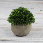 Artificial bonsai desktop plant in a semi-round pulp pot with faux grass and botanical arrangement, ideal for home or office decor.