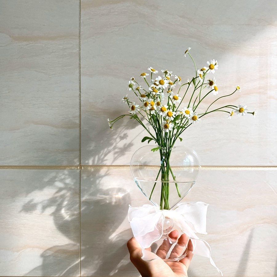Cavira love heart glass vase with ribbon, romantic hydroponic flower vase and aromatherapy bottle for home decor and gifting