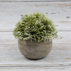 Artificial Bonsai desktop plant in a semi-round pulp pot with faux grass and botanical arrangement, perfect for home or office decor.