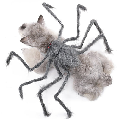 Halloween pet clothes spider transforms into dog clothes