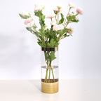 Modern transparent glass vase by Cavira, minimalist hydroponic flower vase for home decor in living rooms, dining areas, or bedrooms.