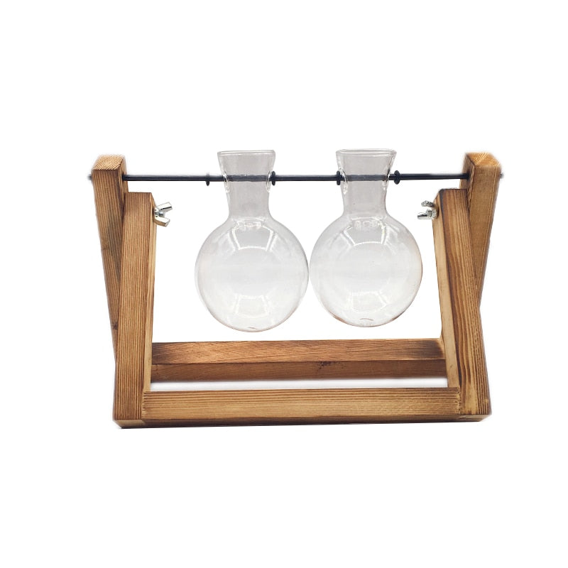 Cavira glass terrarium tabletop vase with wooden frame, showcasing hydroponic plants and bonsai for modern home decor.