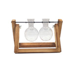 Cavira glass terrarium tabletop vase with wooden frame, showcasing hydroponic plants and bonsai for modern home decor.