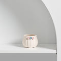Small ceramic succulent pot by Cavira, decorative mini plant container for cacti, succulents, and air plants on desk or shelf.